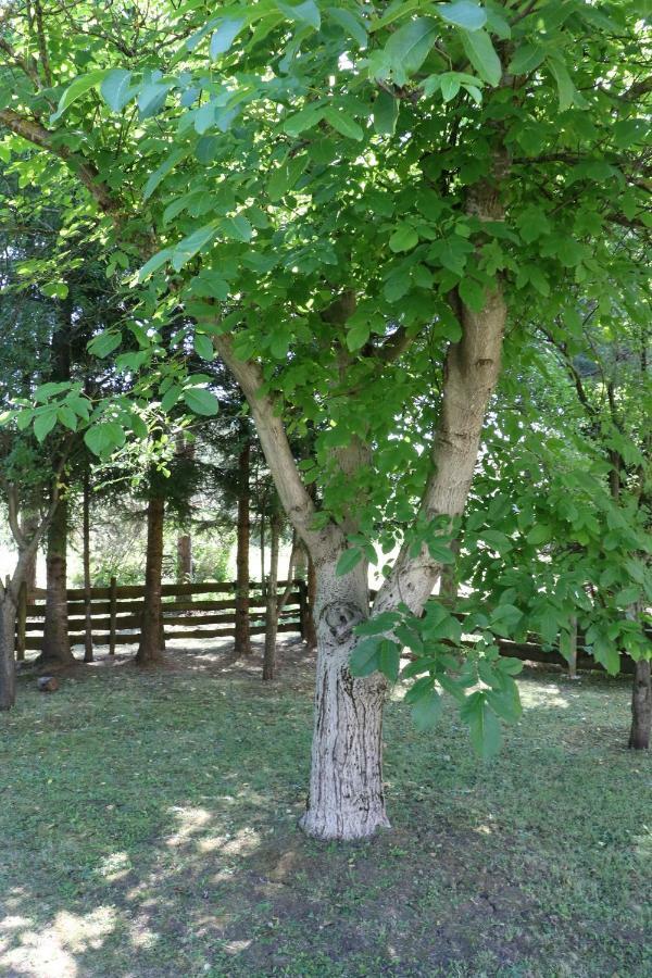 Holiday Home "Iris" Near Plitvice Lakes Rudanovac Dış mekan fotoğraf