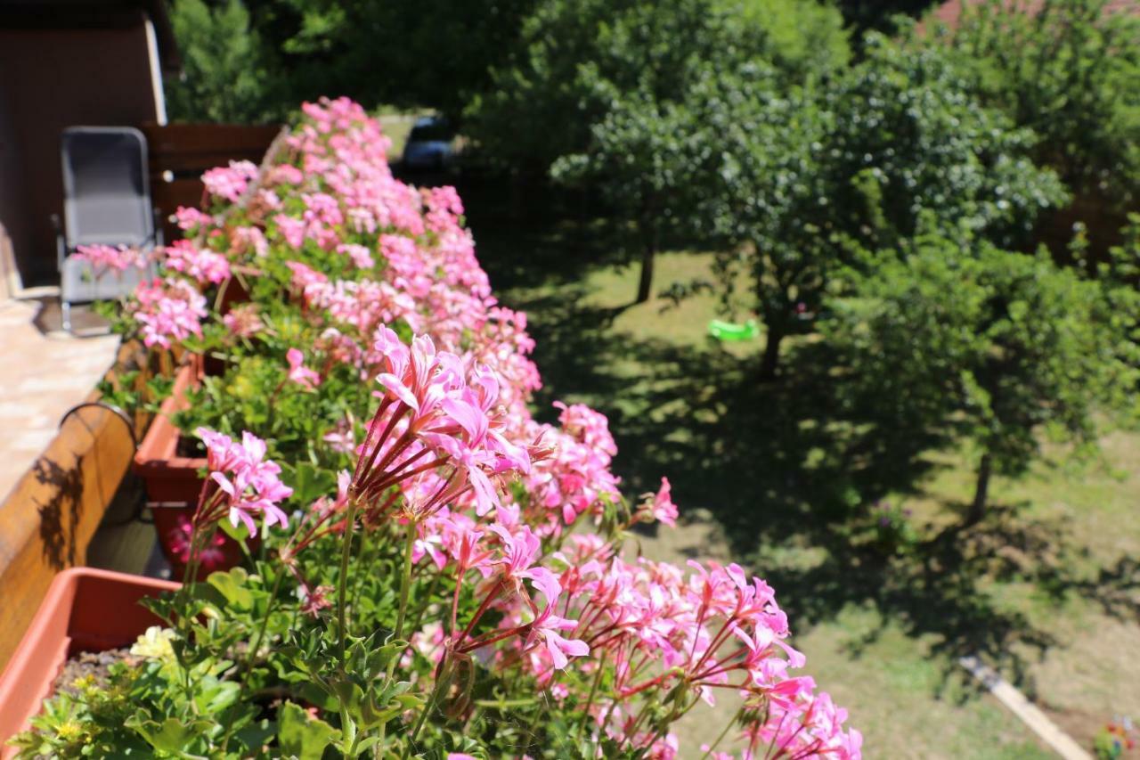 Holiday Home "Iris" Near Plitvice Lakes Rudanovac Dış mekan fotoğraf